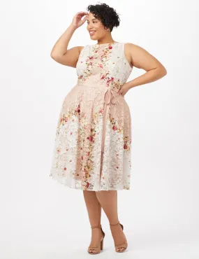Printed Lace Dress with Grosgrain Ribbon Belt